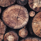 The Wood Holds Many Spirits Coffee Mug Gallery Image 2