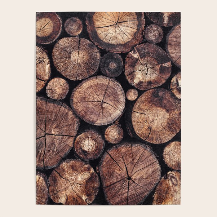 The Wood Holds Many Spirits Poster Gallery Image 4
