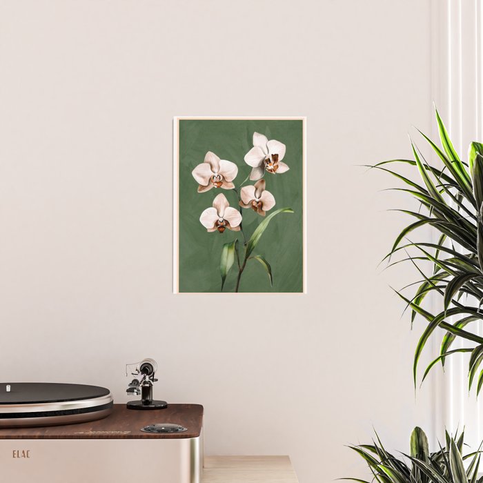 White Orchid Floral Art 4  Poster Gallery Image 2