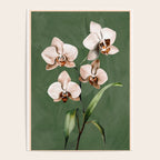 White Orchid Floral Art 4  Poster Gallery Image 4