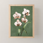 White Orchid Floral Art 4  Mini Art Print Gallery Image 1