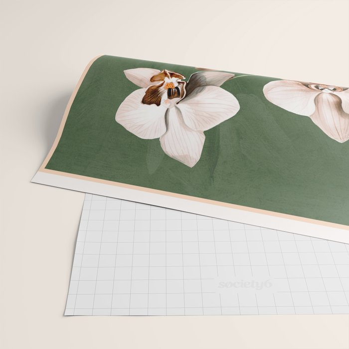White Orchid Floral Art 4  Wrapping Paper Gallery Image 2
