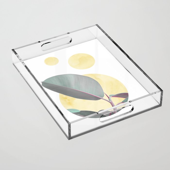 Ficus circles Acrylic Tray Gallery Image 1