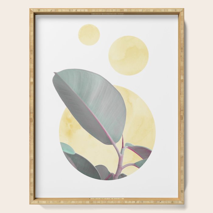 Ficus circles Serving Tray Gallery Image 1