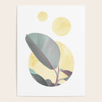 Ficus circles Poster Gallery Image 4
