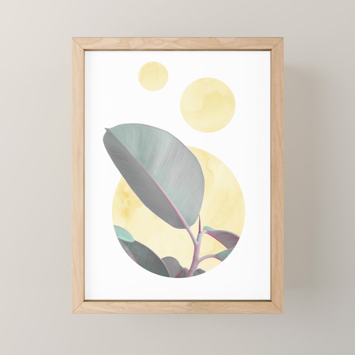 Ficus circles Mini Art Print Gallery Image 1