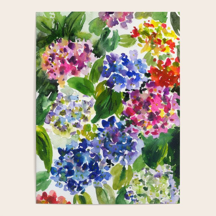 hydrangeas in green: watercolor flowers Poster Gallery Image 4