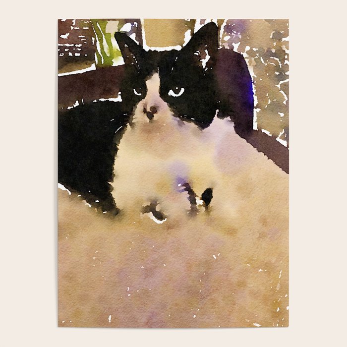 charlotte the cat Poster Gallery Image 4