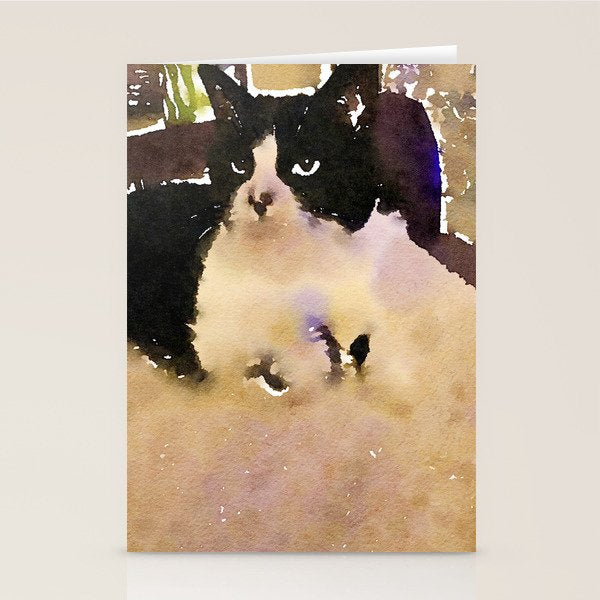 charlotte the cat Stationery Card Gallery Image 2