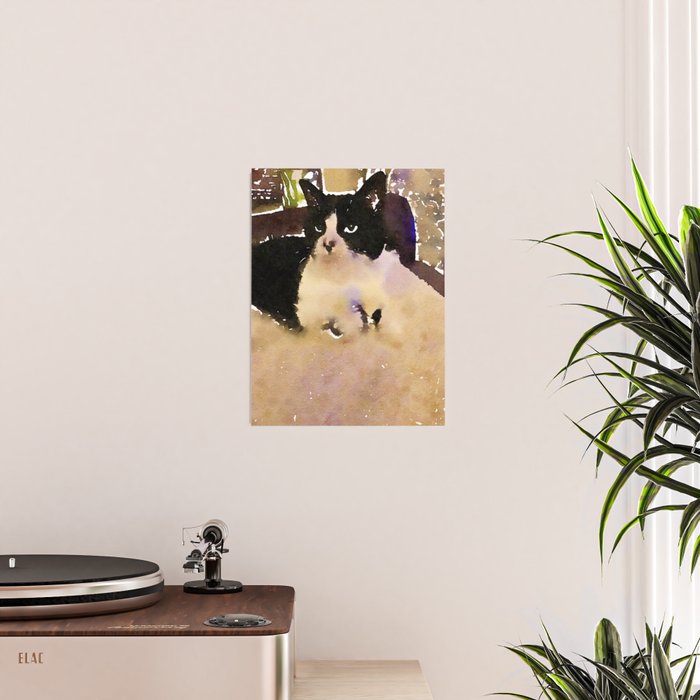 charlotte the cat Poster Gallery Image 2