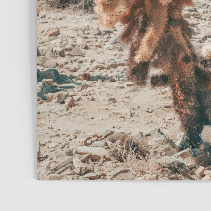 Cholla Cactus - Joshua Tree Desert Landscape, Nature Photography Poster Gallery Image 3