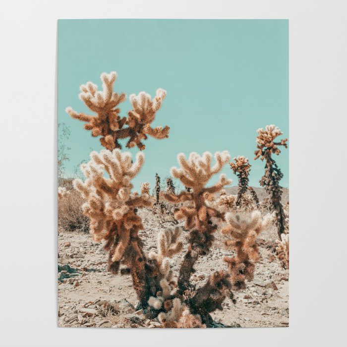 Cholla Cactus - Joshua Tree Desert Landscape, Nature Photography Poster Gallery Image 1