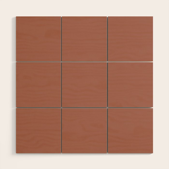 Earth Tone Dusty Clay Solid Color Wood Wall Art Gallery Image 1