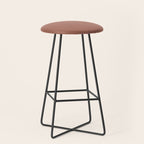 Earth Tone Dusty Clay Solid Color Stool Gallery Image 1