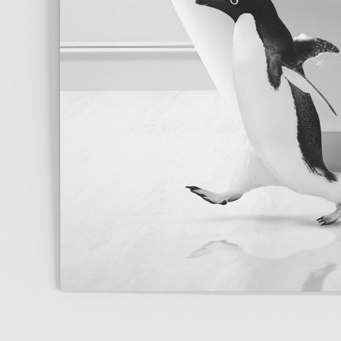 Penguin in Bathtub Poster Gallery Image 3