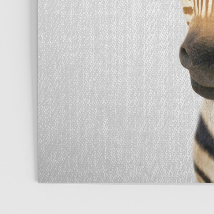 Baby Zebra - Colorful Poster Gallery Image 3