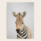 Baby Zebra - Colorful Poster Gallery Image 4