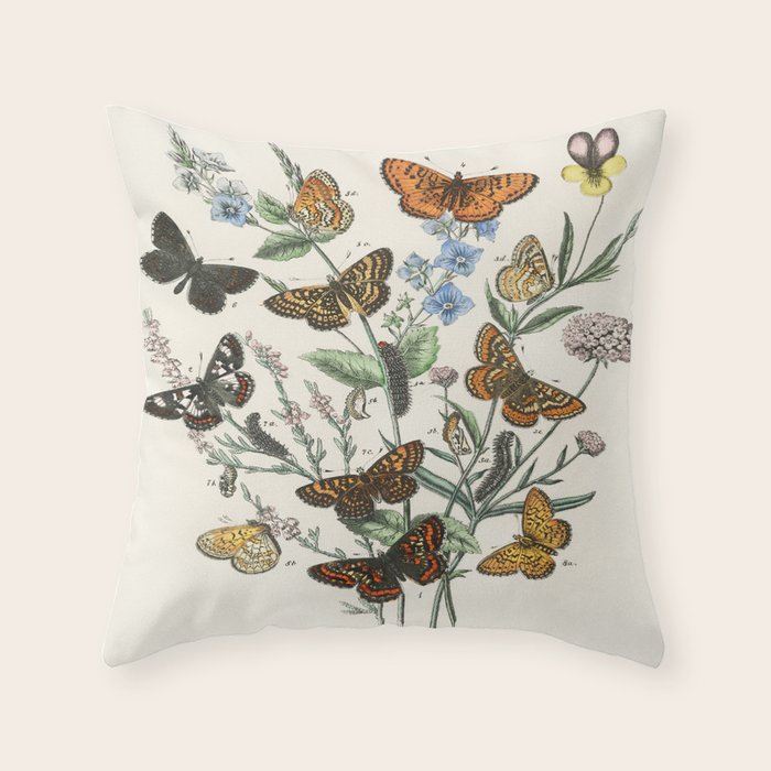 Vintage Scientific Illustration Butterfly Botanical Floral Lithograph Encyclopaedia Diagrams  Throw Pillow Gallery Image 6