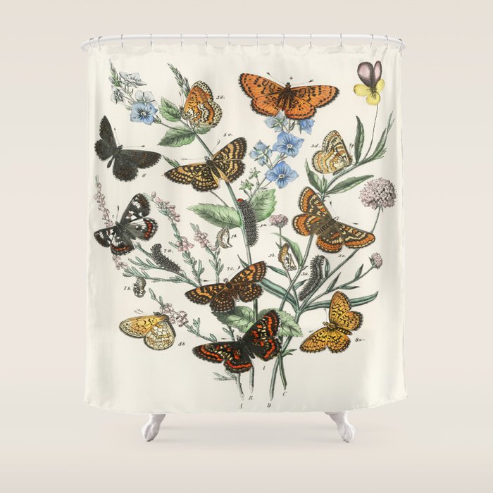 Vintage Scientific Illustration Butterfly Botanical Floral Lithograph Encyclopaedia Diagrams  Shower Curtain Gallery Image 1