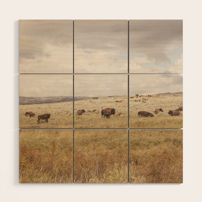 Wild Montana x Bison Under Montana Storm Clouds Wood Wall Art Gallery Image 1
