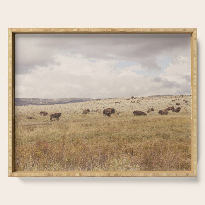 Wild Montana X Bison Under Montana Storm Clouds Serving Tray