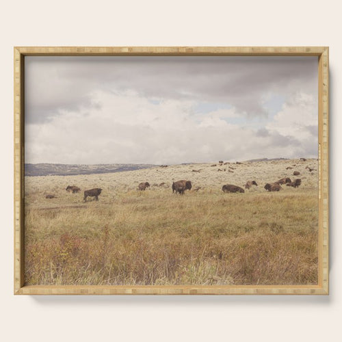 Wild Montana X Bison Under Montana Storm Clouds Serving Tray Gallery Image 1