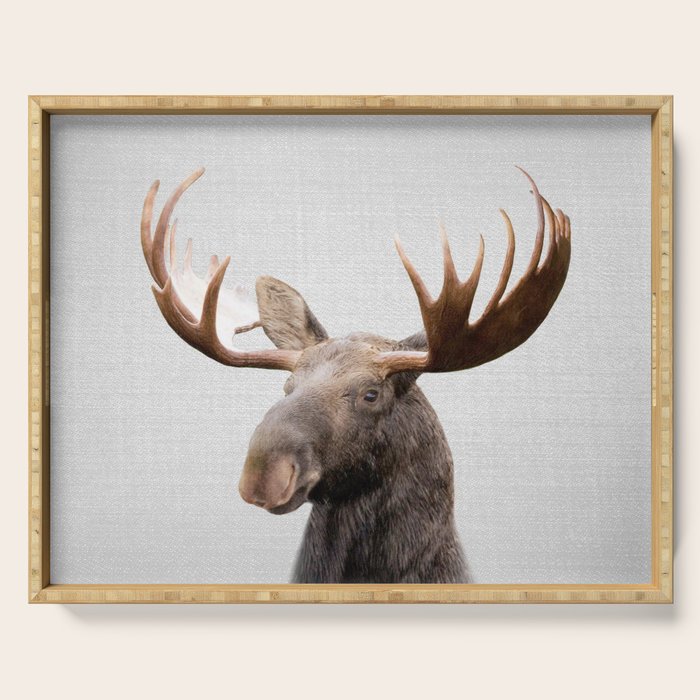 Moose - Colorful Serving Tray Gallery Image 1