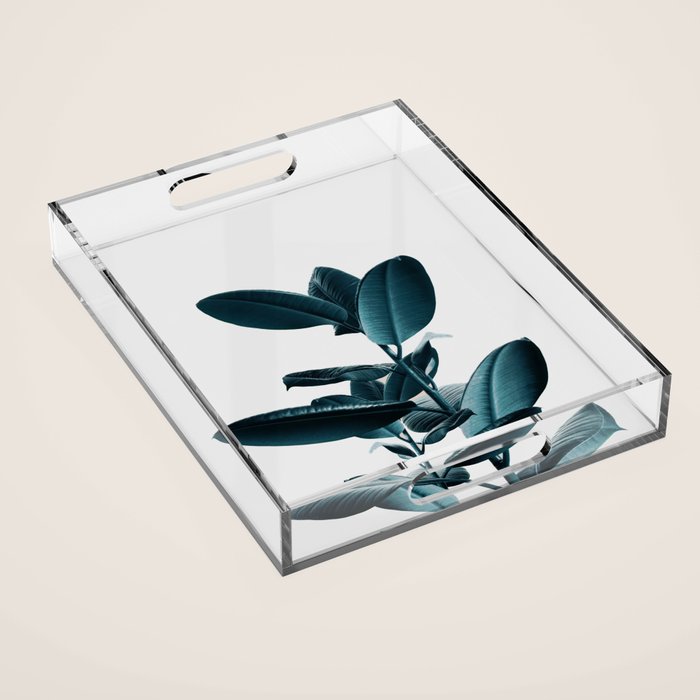 Ficus Acrylic Tray Gallery Image 1