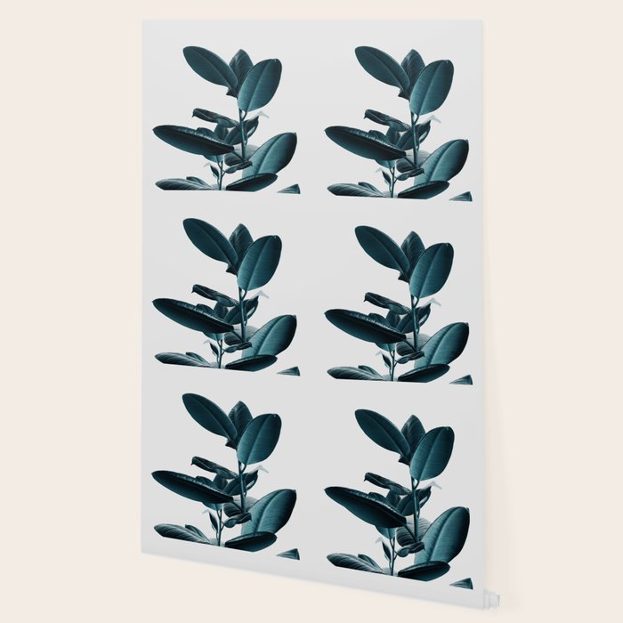 Ficus Wallpaper Gallery Image 2