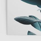 Ficus Poster Gallery Image 3