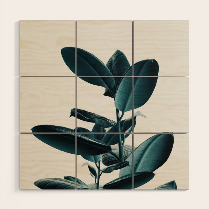 Ficus Wood Wall Art Gallery Image 1