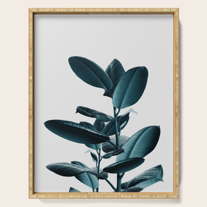 Ficus Serving Tray Gallery Image 1