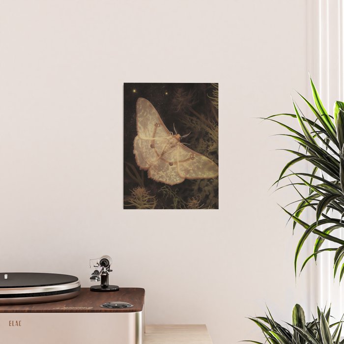 White Moth Insect Goth Dark Poster Gallery Image 2