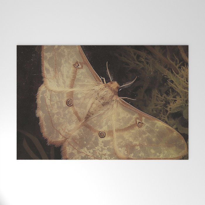 White Moth Insect Goth Dark Welcome Mat Gallery Image 1