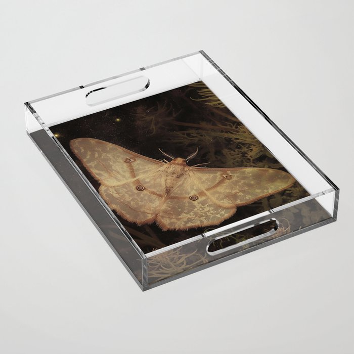 White Moth Insect Goth Dark Acrylic Tray Gallery Image 1