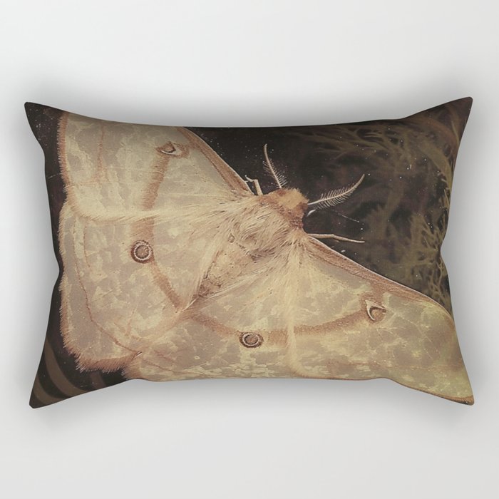 White Moth Insect Goth Dark Rectangular Pillow Gallery Image 1