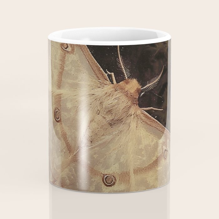 White Moth Insect Goth Dark Coffee Mug Gallery Image 4