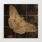 White Moth Insect Goth Dark Wood Wall Art Gallery Image 1