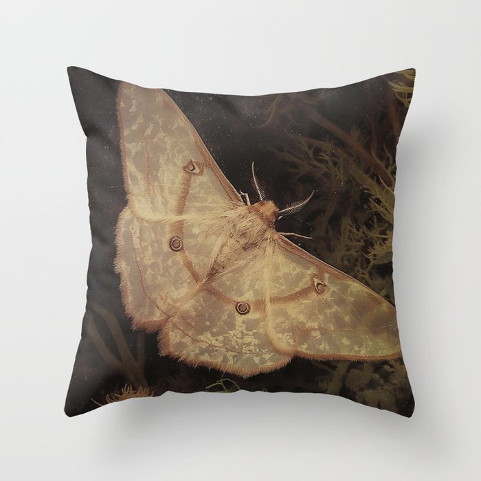 White Moth Insect Goth Dark Throw Pillow Gallery Image 6
