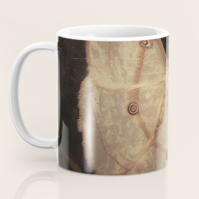 White Moth Insect Goth Dark Coffee Mug Gallery Image 3