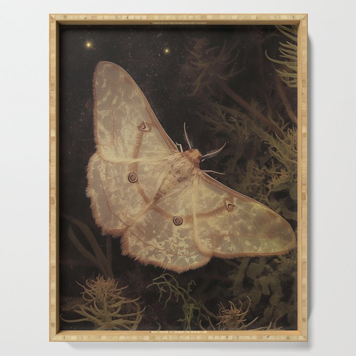 White Moth Insect Goth Dark Serving Tray Gallery Image 1