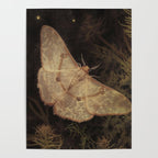 White Moth Insect Goth Dark Poster Gallery Image 4