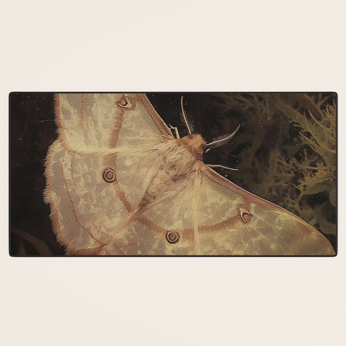 White Moth Insect Goth Dark Desk Mat Gallery Image 3