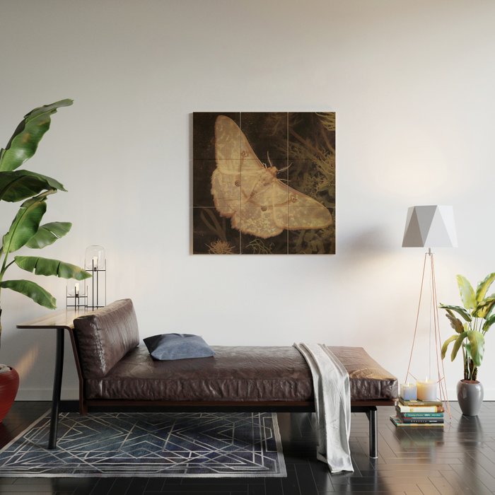 White Moth Insect Goth Dark Wood Wall Art Gallery Image 2