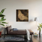 White Moth Insect Goth Dark Wood Wall Art Gallery Image 2