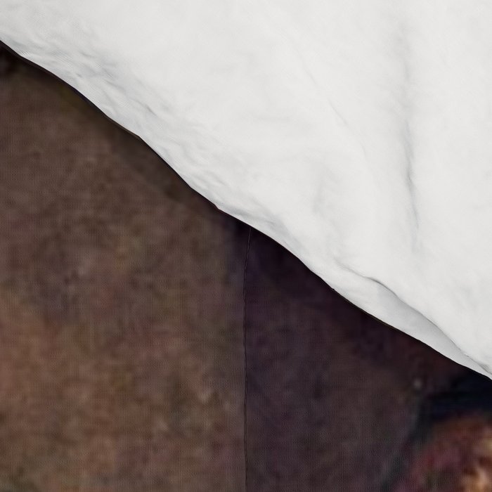 African American Masterpiece 'A Pastoral Visit' by Richard Norris Brooke Comforter Gallery Image 4