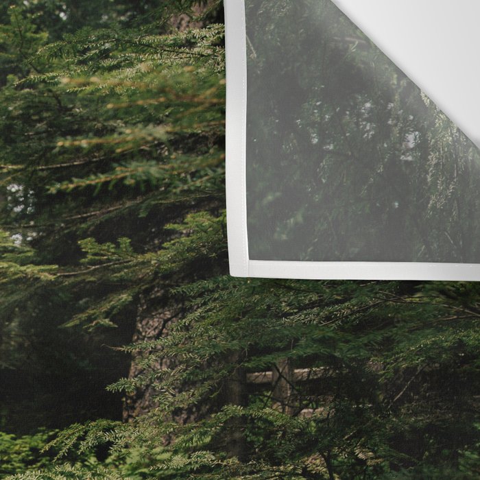 Forest Path Wall Tapestry Gallery Image 3
