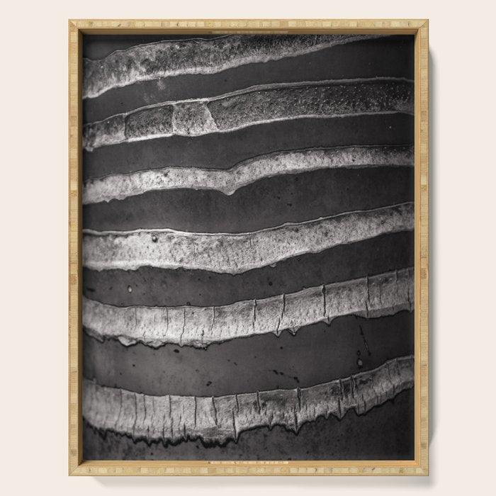 Layers - Contemporary Black and White Abstract Serving Tray Gallery Image 1