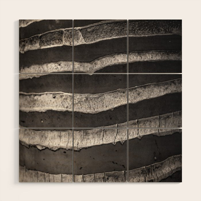 Layers - Contemporary Black and White Abstract Wood Wall Art Gallery Image 1