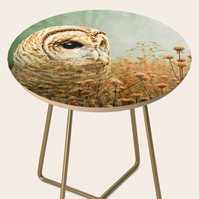Barred Owl in Foggy Forest Side Table Gallery Image 2